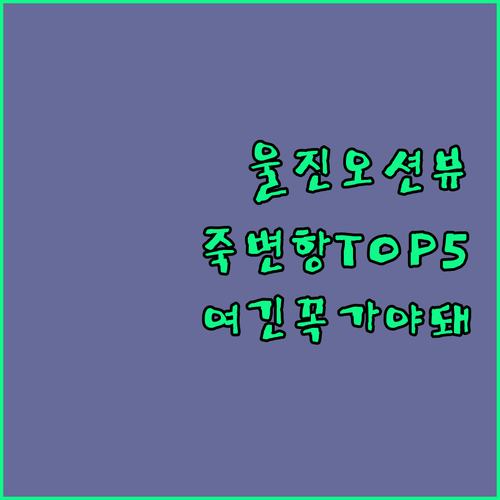 울진 숙소 추천 오션뷰 죽변항 근처 베스트 5곳 비교 분석 후기