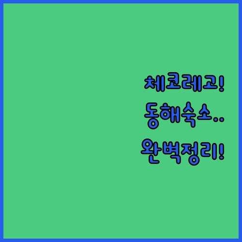 체코 여행 미니어처 레고 박물관 분석과 동해비치 호텔 포함 동해시 인기 숙소 위치 장점 정리