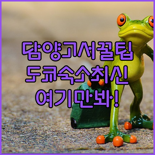 담양 고서 시장 특산물 리스트와 도쿄 신주쿠 시부야 숙소 추천 4곳