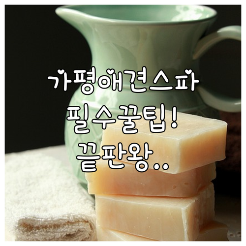 가평 애견 동반 숙소 및 스파 펜션 5곳 이용 팁과 예약 정보