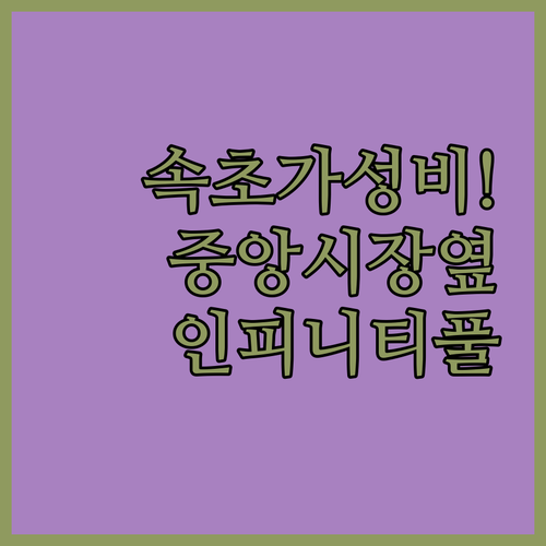 속초 중앙시장 근처 가성비 숙소와 인피니티 풀 호텔 위치 장점 사진 가이드