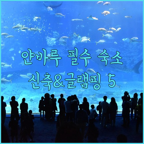 오키나와 얀바루 히가시 지역 숙소 TOP 5 신축 호텔부터 글램핑까지 상세 분석