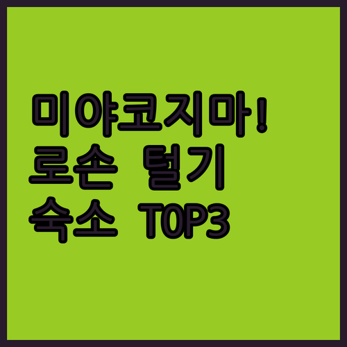 미야코지마 로손 히라라점 쇼핑 리스트 및 이란 숙소 추천 TOP 3 위치 장점 후기 조식 시설 분석