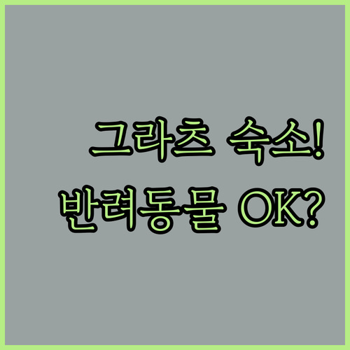 오스트리아 그라츠 숙소 추천 반려동물 동반 가능 여행 스타일별 가이드