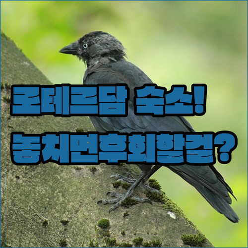 네덜란드 킨더다이크 로테르담 숙소 추천 TOP 5 위치 장점 객실 시설 후기 알아보기