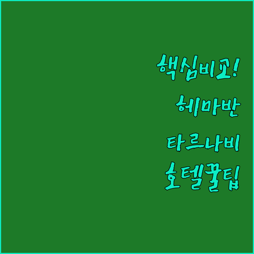 헤마반 타르나비 호텔 비교 Hemavans Fjallcenter Tarnaby Fjallhotell 스포츠호텔 시설 후기 가이드