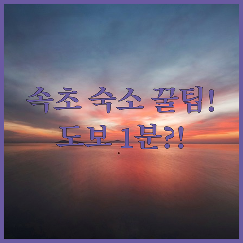 속초 여행 숙소 비교 해변 도보권 오션뷰 가성비 후기 정리