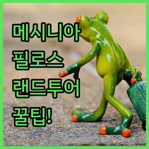 메시니아 지역 필로스 메토니 지알로바 핀다도스 랜드투어 장점 추천
