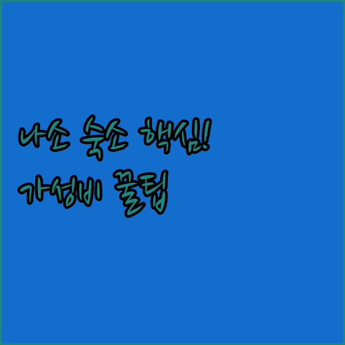 나소 다운타운 숙소 5곳 가성비 프리미엄 비교 체크인 시간 리조트 요금 후기