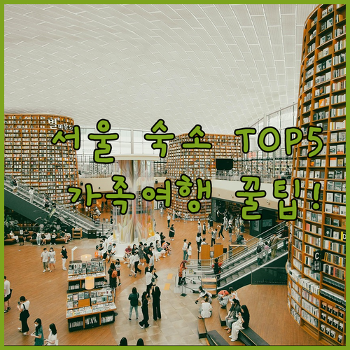 서울 숙소 추천 TOP 5 위치와 장점 후기 분석 가족여행 로맨틱 휴식 가성비 비교