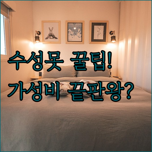 대구 수성구 숙소 비교 수성못 역세권 가성비 후기 분석